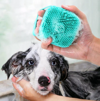 Paine masajeador para baños! - Perros y gatos